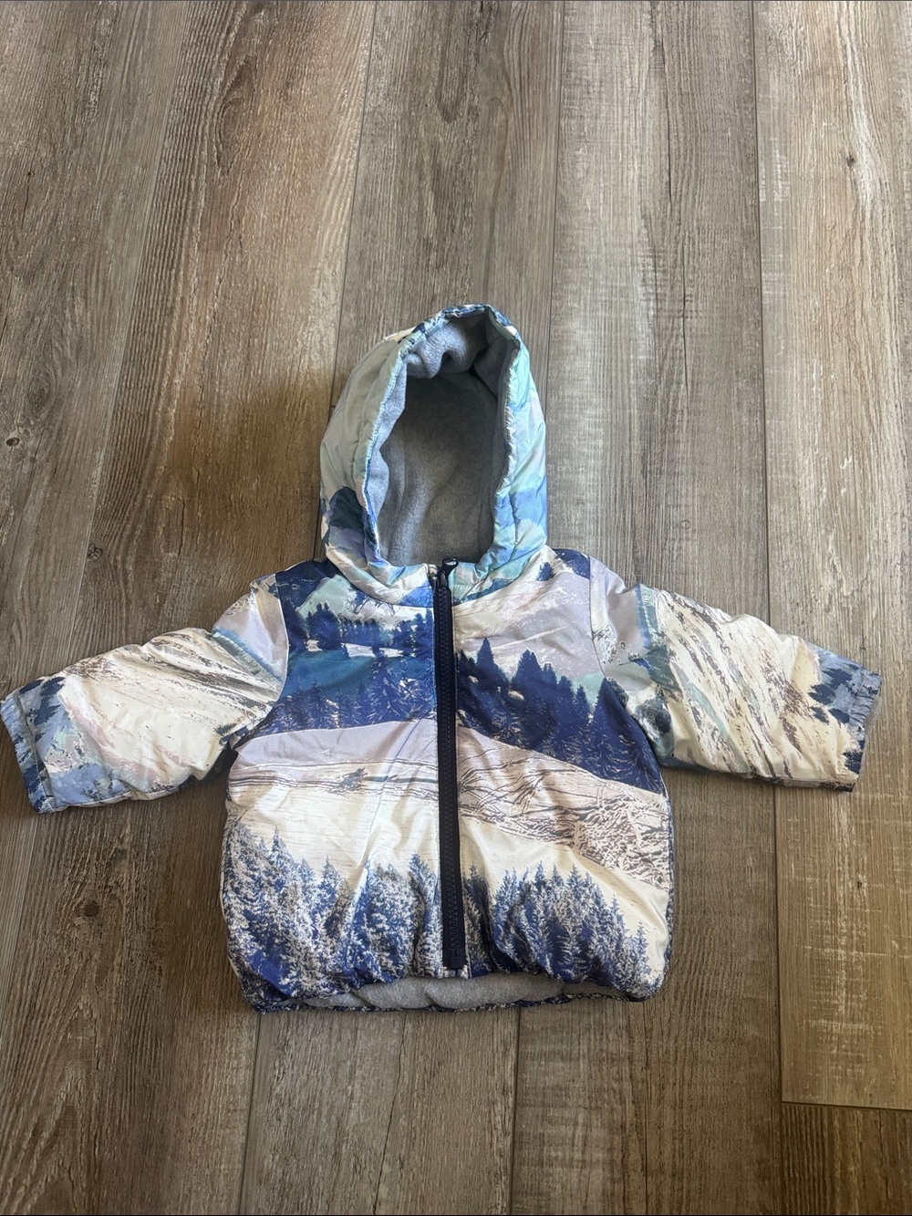 GAP Hooded Puffer Jacket in Blue Scenic Print
